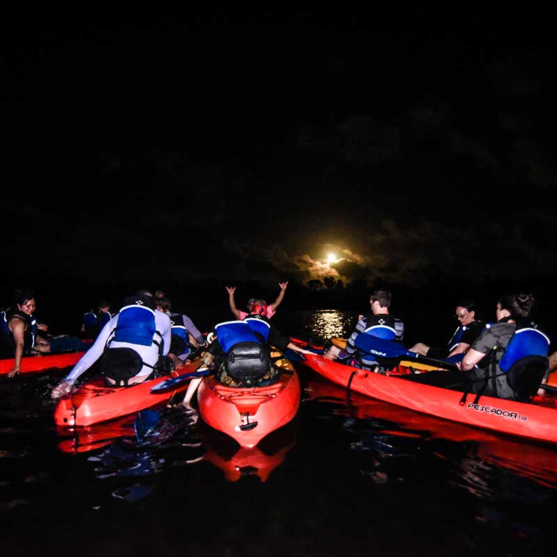 kayak tour bioluminescent bay fajardo