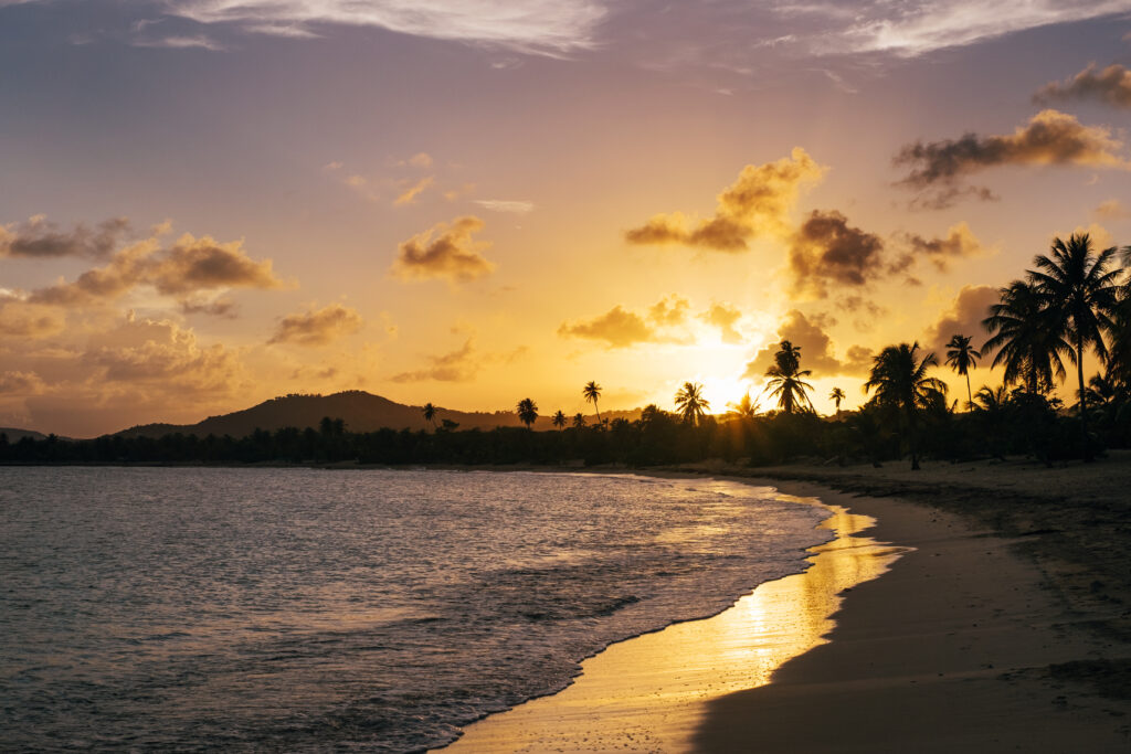 vieques island vacations