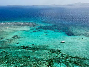 birds eye picture view of boat in the ocean with people snorkeling around it