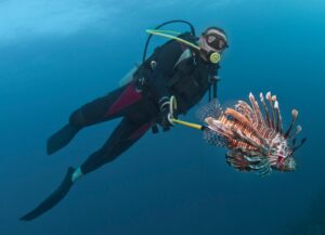 spearfishing-lionfish