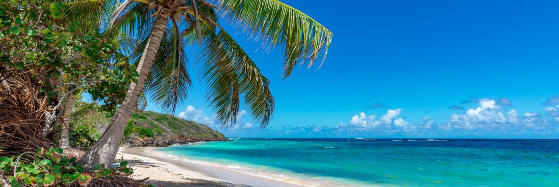 Culebra vs. Vieques: Which Puerto Rican Island Should You Visit?