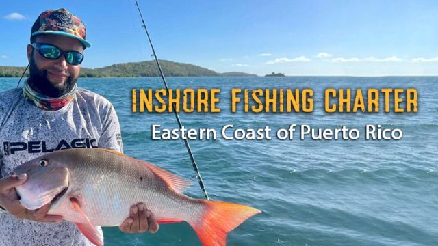 Inshore Fishing Charter, Puerto Rico