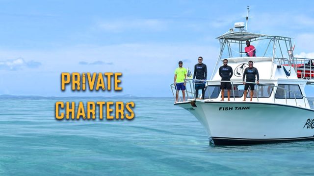 PRIVATE CHARTERS