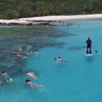 tours to flamenco beach