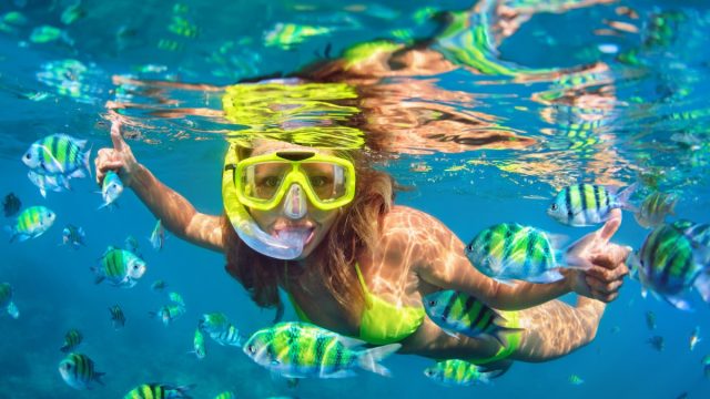 Why Culebra Island Offers the Best Snorkeling in Puerto Rico