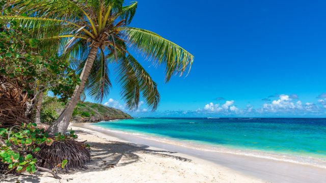 Culebra vs. Vieques: Which Puerto Rican Island Should You Visit?