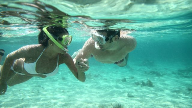 3 Reasons to Book a Culebra Snorkeling Tour with Pure Adventure