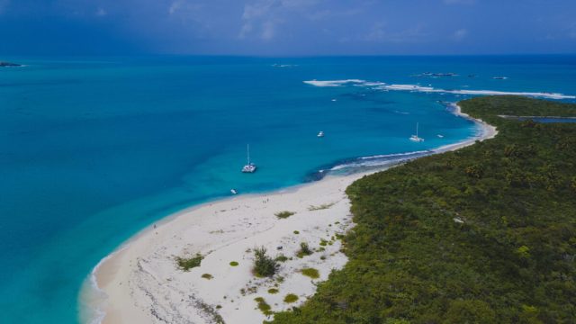 3 Top Reasons Why Vieques Snorkeling Should Be On Your To-Do List