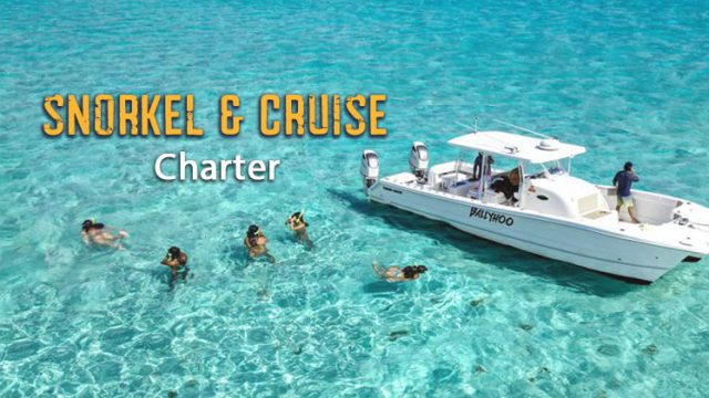 Snorkel & Cruise Charter, Ceiba, Puerto Rico