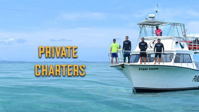 PRIVATE BOAT CHARTERS IN PUERTO RICO