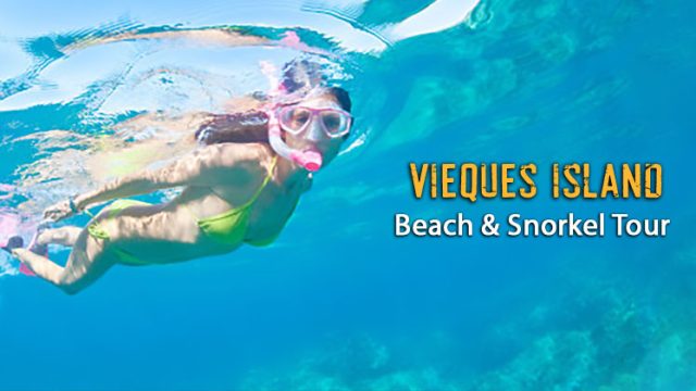Vieques Snorkeling Tour & Beach Experience