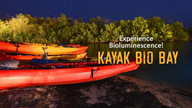 FAJARDO BIO BAY KAYAK TOUR, IN PUERTO RICO