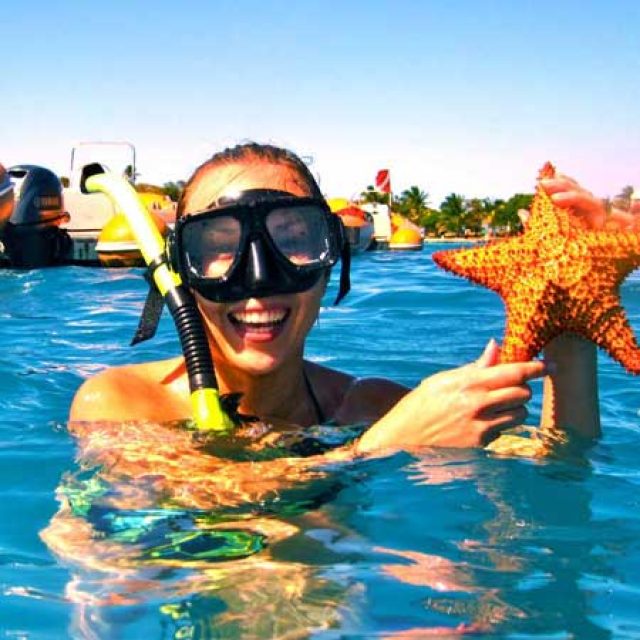 REEF GARDEN ADVENTURE